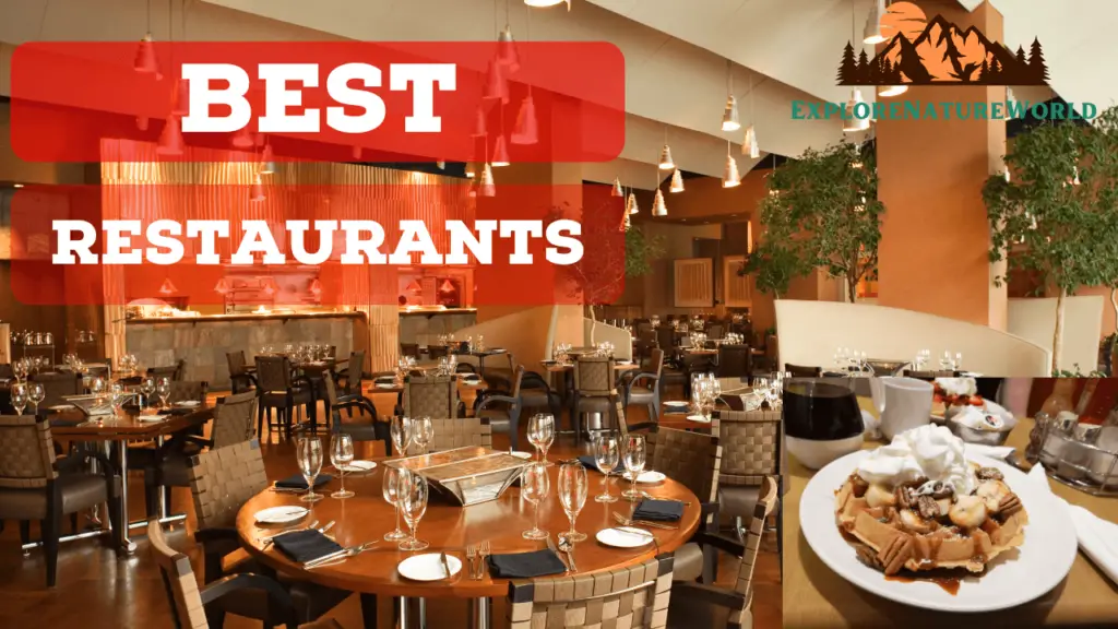 Best Restaurants in Toronto